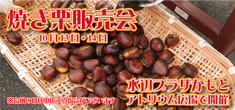 プレゼントキャンペーン