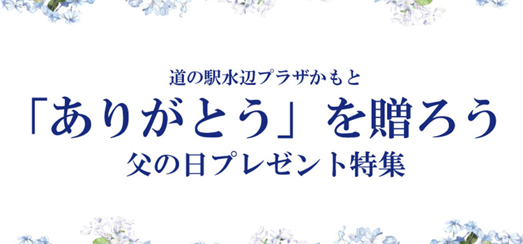 カテゴリ:おすすめ情報