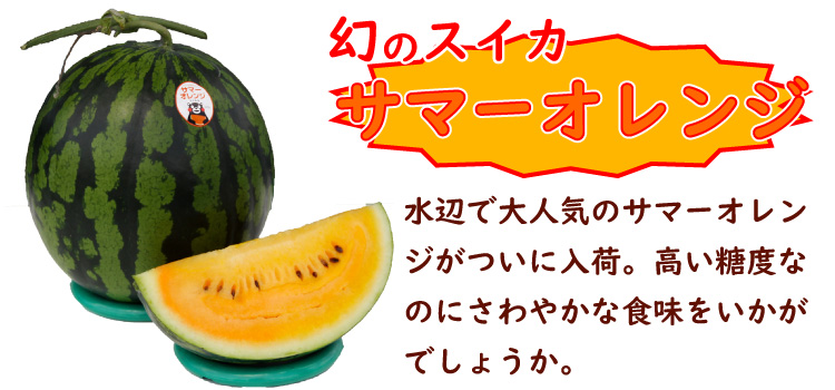サマーオレンジ